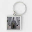 Search for f 22 key rings Airborne