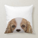 Search for cavalier king charles spaniel cushions Puppy