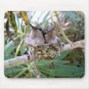Search for nests mousepads Hummingbird