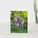 Search for easter note cards Nature