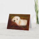 Search for golden doodle puppies cards Dog