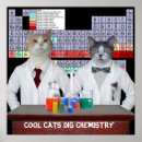 Search for cool cat posters Kitty