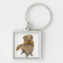 Search for one shot key rings Full length