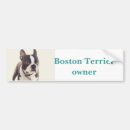 Search for boston terrier bumper stickers Dog