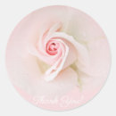 Search for beautiful pink rose stickers Blush