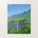 Search for beautiful horse puzzles Iceland