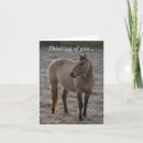 Search for condolences loss of horse cards Farm