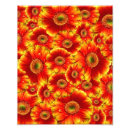 Search for orange daisy art Gerbera