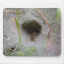 Search for arachnids mousepads Insect