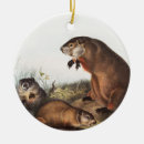 Search for woodchuck christmas tree decorations Wildlife