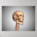 Search for biomedical posters Human body parts