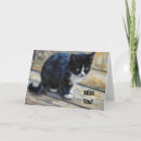 Search for cute kitten thinking of you cards Animal