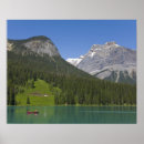Search for canadian rockies posters Forest