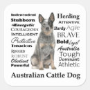 Search for cattle dog stickers Pet