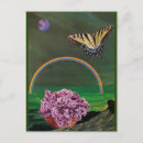 Search for transform cards invites Butterfly