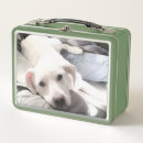 Search for best friend lunch boxes Puppy