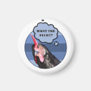 Search for poultry magnets Animal