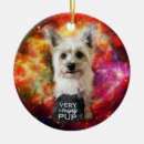 Search for cairn terrier christmas tree decorations Puppy