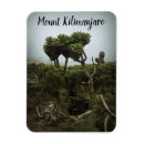 Search for kilimanjaro Hike