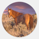 Search for wild horses stickers Blm