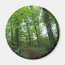 Search for forest path magnets Green