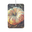 Search for pumpkin car air fresheners Thanksgiving