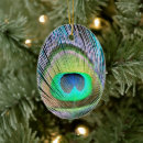 Search for peacock feather christmas tree decorations Bird