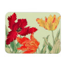 Search for parrot magnets Tulip
