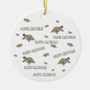 Search for turtle christmas tree decorations Nature