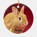 Search for mammals christmas tree decorations Baby