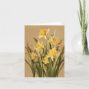 Search for daffodil cards Botanical