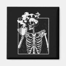 Search for hal magnets Skull