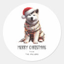 Search for akitas stickers Puppy