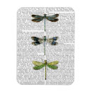 Search for dragonfly magnets Antique