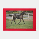Search for equestrian doormats Barn