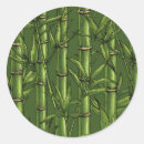 Search for green bamboo stickers Forest
