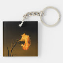 Search for carnation key rings Nature