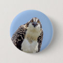 Search for bird nest badges Blue