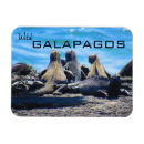 Search for galapagos magnets Wildlife