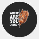 Search for funny squirrel stickers Humour