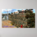 Search for lobster fishing posters Boats
