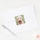 Search for mixed breed dog stickers Adorable
