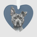 Search for pit pet supplies Cute