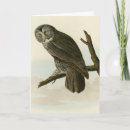 Search for great grey owl cards Strix nebulosa
