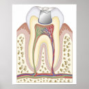 Search for part human posters Work