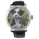 Search for border collie watches Puppy