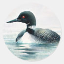 Search for minnesota loon stickers Waterfowl