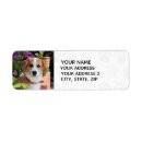 Search for add your own photo return address labels Cute