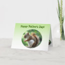 Search for red squirrel cards Squirrels