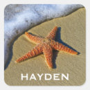 Search for starfish stickers Sea
